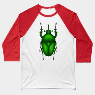 Mecynorhina torquata bug cartoon illustration Baseball T-Shirt